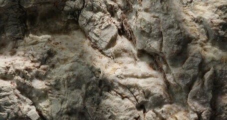 Textured Rock Surface with Interplay of Light and Shadow