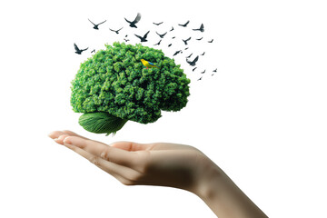 Green Leafy Brain Held in a Hand with Birds Flying Around isolated on a transparent background