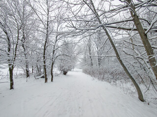 Winter Landscape of South Park in city of Sofia, Bulgaria