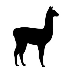alpaca black silhouette icon - perfect for designs about jungle animals alpaca nature, wildlife, rainforest, vector art