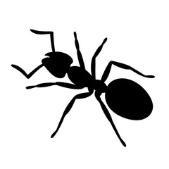 ant black silhouette icon - perfect for designs about jungle animals ant, nature, wildlife, rainforest, vector art