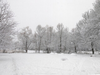 Naklejka premium Winter Landscape of South Park in city of Sofia, Bulgaria