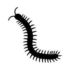 centipede black silhouette icon - perfect for designs about jungle animals centipede nature, wildlife, rainforest, vector art