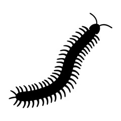 centipede black silhouette icon - perfect for designs about jungle animals centipede nature, wildlife, rainforest, vector art