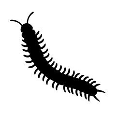 centipede black silhouette icon - perfect for designs about jungle animals centipede nature, wildlife, rainforest, vector art