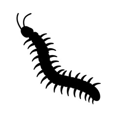 centipede black silhouette icon - perfect for designs about jungle animals centipede nature, wildlife, rainforest, vector art
