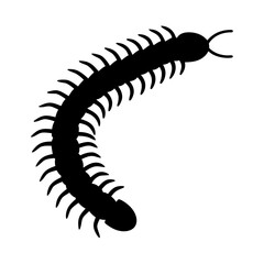 centipede black silhouette icon - perfect for designs about jungle animals centipede nature, wildlife, rainforest, vector art