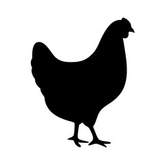 chicken hen black silhouette icon - perfect for designs about jungle animals chicken hen nature, wildlife, rainforest, vector art