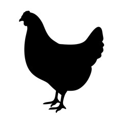 chicken hen black silhouette icon - perfect for designs about jungle animals chicken hen nature, wildlife, rainforest, vector art
