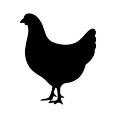 chicken hen black silhouette icon - perfect for designs about jungle animals chicken hen nature, wildlife, rainforest, vector art