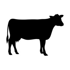 cow black silhouette icon - perfect for designs about jungle animals cow nature, wildlife, rainforest, vector art