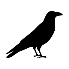 crow black silhouette icon - perfect for designs about jungle animals crow nature, wildlife, rainforest, vector art