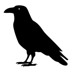 crow black silhouette icon - perfect for designs about jungle animals crow nature, wildlife, rainforest, vector art