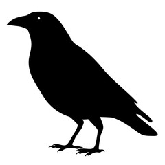 crow black silhouette icon - perfect for designs about jungle animals crow nature, wildlife, rainforest, vector art