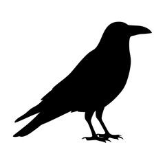 crow black silhouette icon - perfect for designs about jungle animals crow nature, wildlife, rainforest, vector art