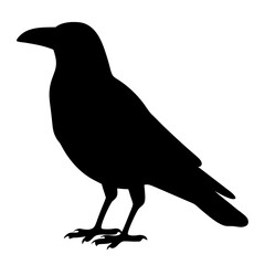 crow black silhouette icon - perfect for designs about jungle animals crow nature, wildlife, rainforest, vector art
