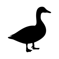 duck black silhouette icon - perfect for designs about jungle animals duck nature, wildlife, rainforest, vector art