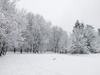 Obraz premium Winter Landscape of South Park in city of Sofia, Bulgaria
