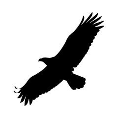 eagle black silhouette icon - perfect for designs about jungle animals eagle nature, wildlife, rainforest, vector art