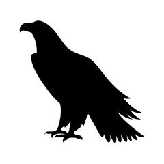 eagle black silhouette icon - perfect for designs about jungle animals eagle nature, wildlife, rainforest, vector art
