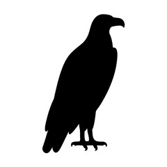 eagle black silhouette icon - perfect for designs about jungle animals eagle nature, wildlife, rainforest, vector art