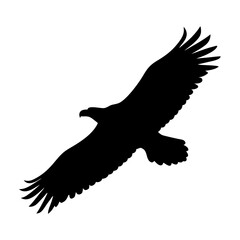 eagle black silhouette icon - perfect for designs about jungle animals eagle nature, wildlife, rainforest, vector art