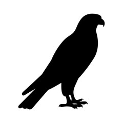 falcon black silhouette icon - perfect for designs about jungle animals falcon nature, wildlife, rainforest, vector art