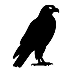 falcon black silhouette icon - perfect for designs about jungle animals falcon nature, wildlife, rainforest, vector art
