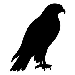 falcon black silhouette icon - perfect for designs about jungle animals falcon nature, wildlife, rainforest, vector art