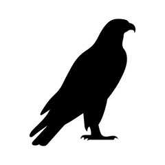 falcon black silhouette icon - perfect for designs about jungle animals falcon nature, wildlife, rainforest, vector art