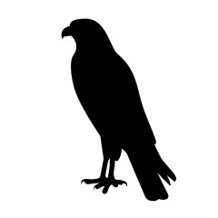 falcon black silhouette icon - perfect for designs about jungle animals falcon nature, wildlife, rainforest, vector art