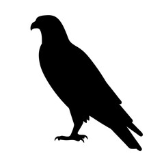 falcon black silhouette icon - perfect for designs about jungle animals falcon nature, wildlife, rainforest, vector art