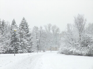 Obraz premium Winter Landscape of South Park in city of Sofia, Bulgaria