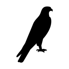 falcon black silhouette icon - perfect for designs about jungle animals falcon nature, wildlife, rainforest, vector art