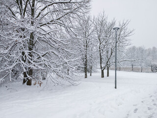Fototapeta premium Winter Landscape of South Park in city of Sofia, Bulgaria