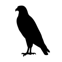 falcon black silhouette icon - perfect for designs about jungle animals falcon nature, wildlife, rainforest, vector art