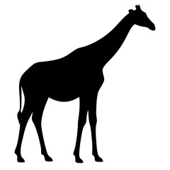 giraffe black silhouette icon - perfect for designs about jungle animals giraffe nature, wildlife, rainforest, vector art
