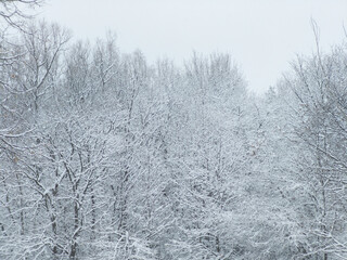 Naklejka premium Winter Landscape of South Park in city of Sofia, Bulgaria