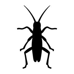 grasshopper black silhouette icon - perfect for designs about jungle animals grasshopper nature, wildlife, rainforest, vector art