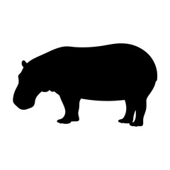 hippo black silhouette icon - perfect for designs about jungle animals hippo nature, wildlife, rainforest, vector art