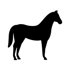 horse black silhouette icon - perfect for designs about jungle animals horse nature, wildlife, rainforest, vector art