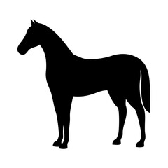 horse black silhouette icon - perfect for designs about jungle animals horse nature, wildlife, rainforest, vector art