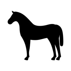 horse black silhouette icon - perfect for designs about jungle animals horse nature, wildlife, rainforest, vector art