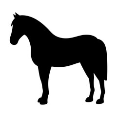horse black silhouette icon - perfect for designs about jungle animals horse nature, wildlife, rainforest, vector art