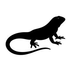iguana black silhouette icon - perfect for designs about jungle animals iguana, nature, wildlife, rainforest, vector art