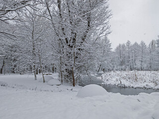 Winter Landscape of South Park in city of Sofia, Bulgaria