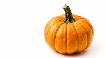 A perfectly ripe, miniature pumpkin sits serenely against a bright white backdrop, showcasing its vibrant autumnal orange hue and detailed ribbed texture.