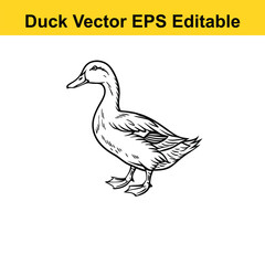 Duck Vector drawing sketch silhouette