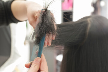 Fototapeta premium ヘアカットをする美容師の手元