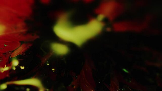 Fruit, Cut section, Pulp, Juice, Colorful, Inkdrop, Light and dark, Color lighting, Lighting change, C-UP, Camera movement, HS